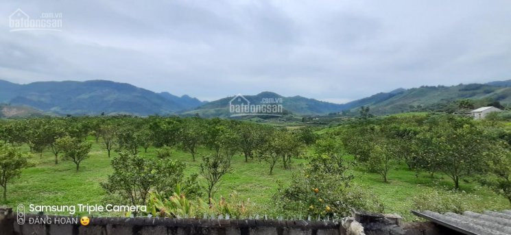 Chính Chủ Cần Bán 2500m Khuôn Viên Nhà Sàn Sân Vườn Tiểu Cảnh Giá Chỉ Hơn Tỷ 5
