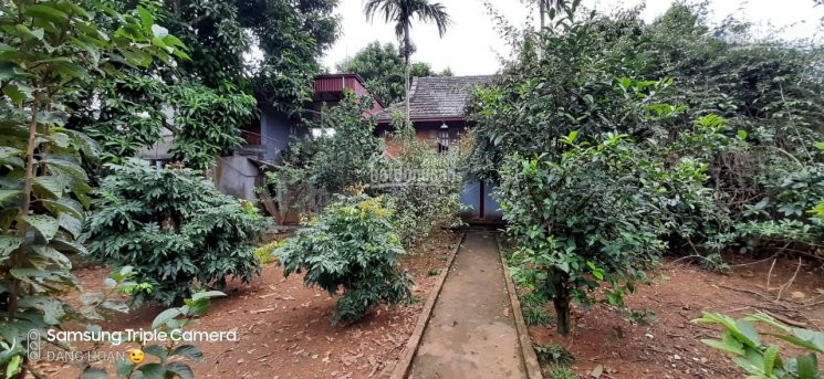 Chính Chủ Cần Bán 2500m Khuôn Viên Nhà Sàn Sân Vườn Tiểu Cảnh Giá Chỉ Hơn Tỷ 6