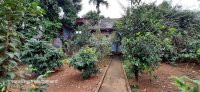 Chính Chủ Cần Bán 2500m Khuôn Viên Nhà Sàn Sân Vườn Tiểu Cảnh Giá Chỉ Hơn Tỷ 13
