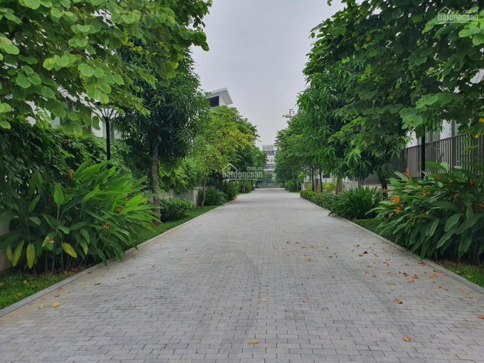 Chính Chủ Cần Bán Căn Biệt Thự Khai Sơn Hill 165m2, Giá 18 Tỷ Lh: 0985575386 2