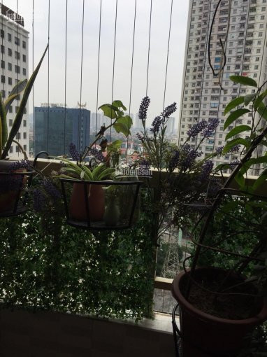 Chính Chủ Cần Bán Căn Hộ Chung Cư 2 Phòng Ngủ, Căn Góc Chung Cư Ct1 Nam Xa La Lh: 0984673788 6