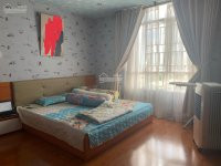 Chính Chủ Cần Bán Căn Hộ Giai Việt Chánh Hưng đường Tạ Quang Bửu, Phường 5, Quận 8 16