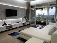 Chính Chủ Cần Bán Căn Penthouse Phú Mỹ Hưng, 2 Ban Công View Sông, Lầu Cao Nhất Tòa Chung Cư Lh 0916 769 639 2