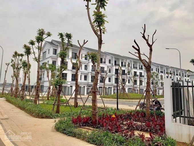 Chính Chủ Cần Bán Cắt Lỗ Căn St5 Gamuda 95m2 Giá 9 Tỷ Ms Phương 0981122869 4