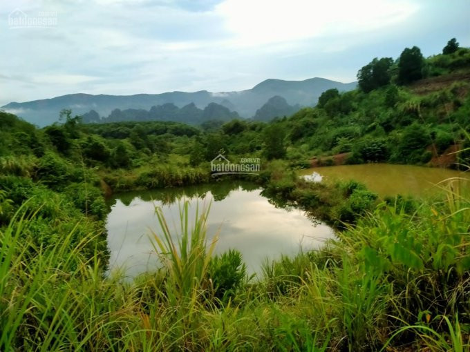 Chính Chủ Cần Bán Gấp 18ha (180000m2) đất Dự án Trang Trại Lợn Tại Lương Sơn, Hòa Bình 4