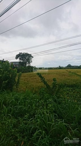 Chính Chủ Cần Bán Lô đất 28m Mặt Tiền đường Tỉnh Lộ 786, Bến Cầu, Tây Ninh 4