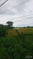 Chính Chủ Cần Bán Lô đất 28m Mặt Tiền đường Tỉnh Lộ 786, Bến Cầu, Tây Ninh 10