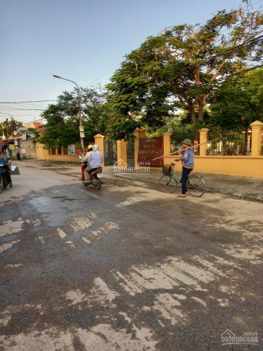 Chính Chủ Cần Bán Lô Góc Cực đẹp, Vị Trí Sáng Tại Bạch Mai, đồng Thái, An Dương, Sổ đỏ Pháp Lý Rõ Ràng 2