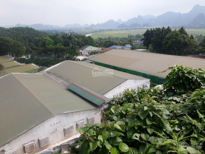 Chính Chủ Cần Bán Nhanh! 16ha Trại Lợn đang Hoạt động ở Kim Bôi Hoà Bình, Dự án Cấp Tỉnh 1