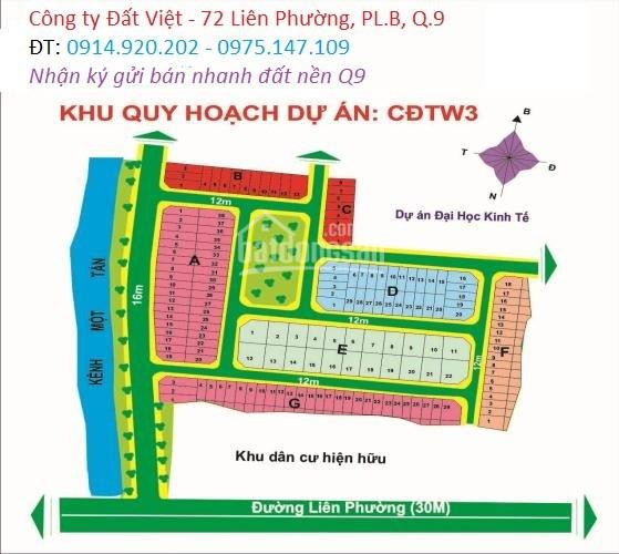 Chính Chủ Cần Bán Nhanh Lô đất Quận 9, Dự án Mẫu Giáo Tw 3, Phường Phú Hữu, Dt 6x25m, Giá 47tr/m2 1