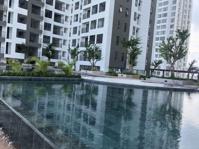 Chính Chủ Cần Vốn Kinh Doanh Sau Dịch Nên Muốn Bán Lại 2pn 70m2 Central Giai Việt Giá đã Fix:3ty (tất Cả Phí) 4
