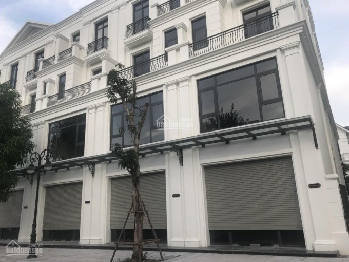 Chính Chủ Cho Thuê Dài Hạn Cặp Shophouse San Hô 16, Kinh Doanh Chắc Thắng, đối Diện Khu Chung Cư 2