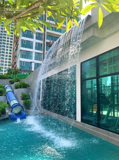 Chính Chủ Cho Thuê Nhanh 1pn Feliz En Vista Cao Cấp, Giá Chỉ 11tr /tháng Miễn Phí Ql 4