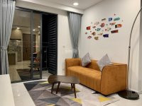 Chính Chủ Cho Thuê Nhanh Căn Hộ Chung Cư Richstar ,tân Phú,dt 53m2,nt,gía Thuê 10tr,lh:0933 547 505 9