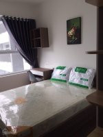 Chính Chủ Cho Thuê Nhanh Căn Hộ đầy đủ Nội Thất 2pn Khu G, View Hồ Bơi Chỉ 115 Triệu/tháng, Bao Phílh: 0978459686 11