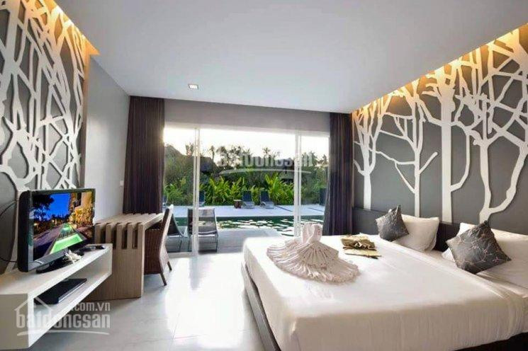 Chính Chủ Cho Thuê Nhanh Căn Hộ Sunrise City, 99m2 Căn Góc Có Bancon View Hồ Bơi Nội Thất Châu âu, Call 0977771919 4