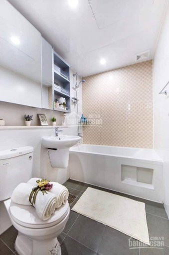 Chính Chủ Cho Thuê Nhanh Chung Cư Green Stars: 2pn (75m2) Giá 65tr/th Và 3pn (102m2) 9tr/th Lh: 0832678686 7