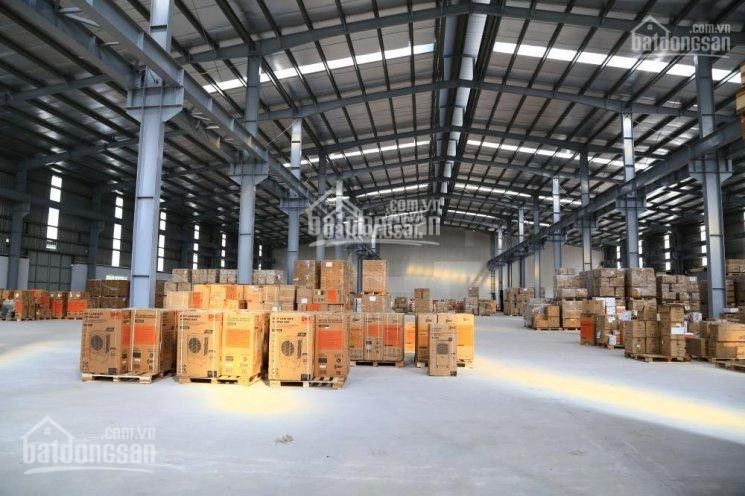 Chính Chủ Cho Thuê Nhanh Kho Xưởng 3000m2, 5000m2, 10000m2 Tại Kcn Minh đức, Mỹ Hào, Hưng Yên 1