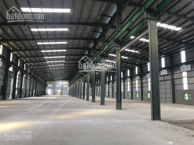 Chính Chủ Cho Thuê Nhanh Kho Xưởng 3000m2, 5000m2, 10000m2 Tại Kcn Minh đức, Mỹ Hào, Hưng Yên 6