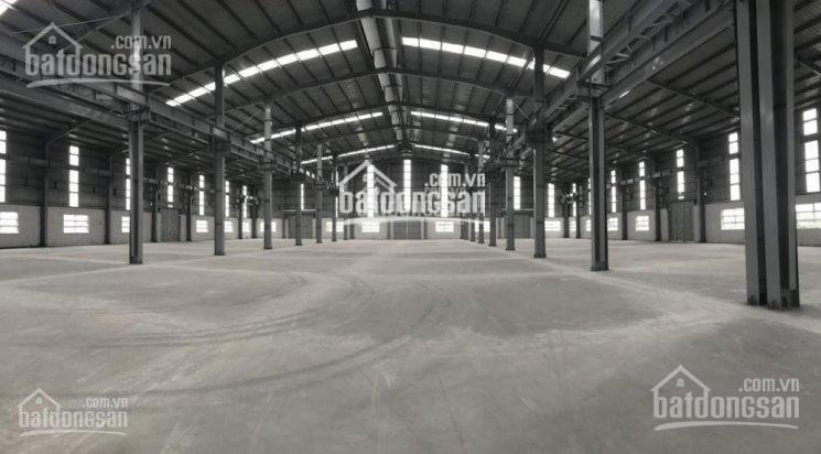 Chính Chủ Cho Thuê Nhanh Kho Xưởng 3000m2, 5000m2, 10000m2 Tại Kcn Minh đức, Mỹ Hào, Hưng Yên 7