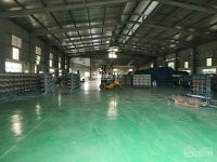 Chính Chủ Cho Thuê Nhanh Kho Xưởng 3000m2, 5000m2, 10000m2 Tại Kcn Minh đức, Mỹ Hào, Hưng Yên 13