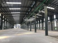 Chính Chủ Cho Thuê Nhanh Kho Xưởng 3000m2, 5000m2, 10000m2 Tại Kcn Minh đức, Mỹ Hào, Hưng Yên 14