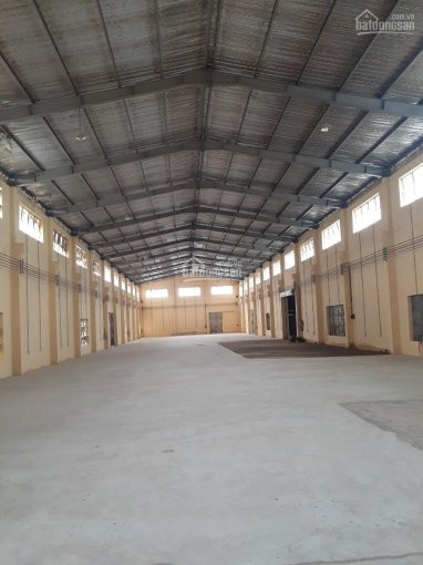 Chính Chủ Cho Thuê Nhanh Kho Xưởng đường An Dương Vương, Bình Tân - Diện Tích: 3000m2 - Giá 135 Triệu/tháng 4