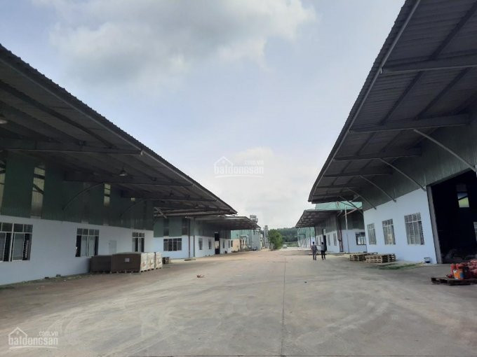 Chính Chủ Cho Thuê Nhanh Kho Xưởng Trong Kcn Tân Bình, Bắc Tân Uyên, Bình Dương, Dt 2000m2, 5000m2, 8000m2, 15000m2 3