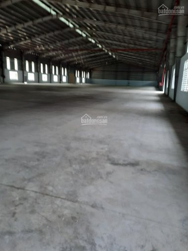 Chính Chủ Cho Thuê Nhanh Kho Xưởng Trong Kcn Tân Bình, Bắc Tân Uyên, Bình Dương, Dt 2000m2, 5000m2, 8000m2, 15000m2 4