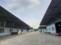 Chính Chủ Cho Thuê Nhanh Kho Xưởng Trong Kcn Tân Bình, Bắc Tân Uyên, Bình Dương, Dt 2000m2, 5000m2, 8000m2, 15000m2 7