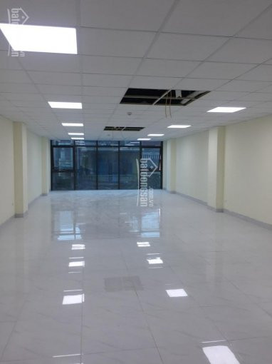 Chính Chủ Cho Thuê Nhanh Văn Phòng Quận đống đa, Khu Láng Hạ 60m2, 120m2, 400m2 1500m2, Giá 130000/m2 1