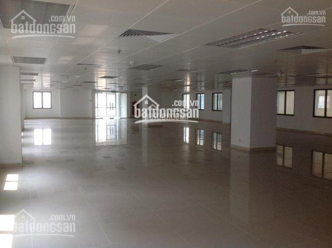 Chính Chủ Cho Thuê Nhanh Văn Phòng Tòa Artex Building, Ngọc Khánh, Quận Ba đình, 70m2, 115m2, 150m2, 430m2, 1000m2 1