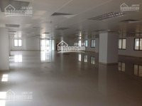 Chính Chủ Cho Thuê Nhanh Văn Phòng Tòa Artex Building, Ngọc Khánh, Quận Ba đình, 70m2, 115m2, 150m2, 430m2, 1000m2 2