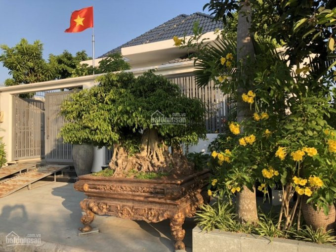 Chính Chủ Cho Thuê Nhanh Villa Khu Phú Xuân Cotec 300m2 Giá Cho Thuê 18tr/tháng Lh 0984975697 Bích Trâm 1