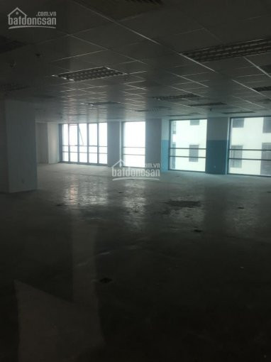 Chính Chủ Cho Thuê Nhanh Vp Tòa Nhà Lilama 10 Q Thanh Xuân 130m2, 200m2, 450m2, 600m2, 1500m2 Giá 170 Nghìn/m2/th 3