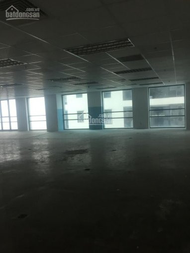 Chính Chủ Cho Thuê Nhanh Vp Tòa Nhà Lilama 10 Q Thanh Xuân 130m2, 200m2, 450m2, 600m2, 1500m2 Giá 170 Nghìn/m2/th 4