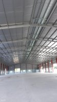 Chính Chủ Cho Thuê Nhanh Xưởng 1500m2 Bắc Tân Uyên Lh 0908706118 6