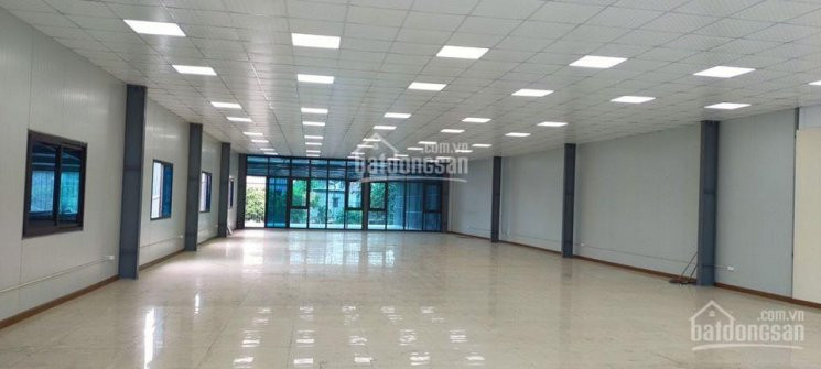 Chính Chủ Cho Thuê Sàn Vp 130m2 Phố Huỳnh Thúc Kháng View Kính, đủ Trần, Sàn, điều Hòa âm Trần 1