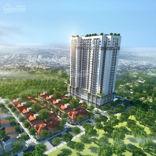 Chính Chủ Suất Ngoại Giao Chung Cư Thanh Xuân Complex 4 Phòng Ngủ, 122m2, Giá 34tr/m2 2