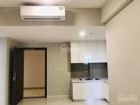 Cho Thuê Căn Hộ Masteri 1 Phòng Ngủ 1o Triệu 16