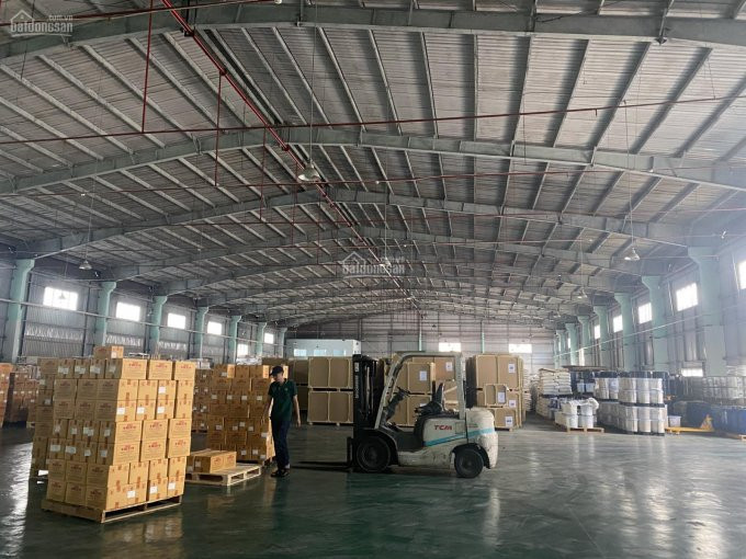 Cho Thuê Kho Xưởng Từ 500m2 đến 5000m2 Tại Hải Phòng 3