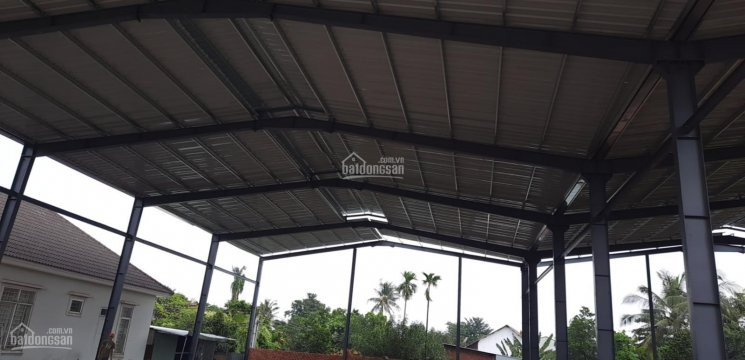 Cho Thuê Xưởng Kv Vĩnh Tân Thuận An Binh Dương Dt 1230 M2 Lh 0937557667 A Tuấn 2