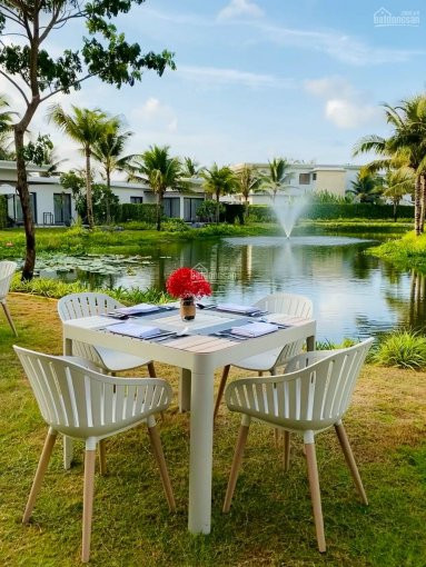 Chủ Nhà Thiện Chí Sang Nhượng Melia Hồ Tràm - Resort 5* 2pn: 529m2 View Hồ Sen Gđ1 Lh 0901445381 6