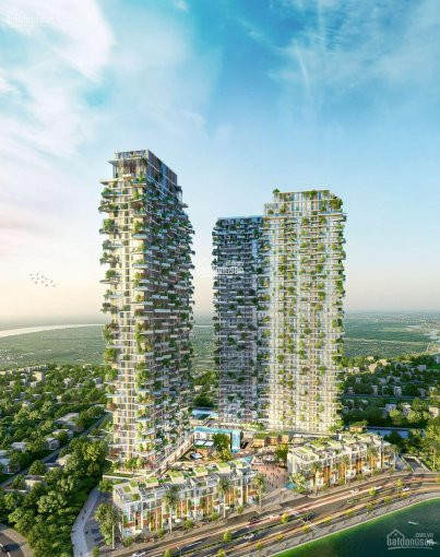 Chung Cư Sol Forest - Tuyệt Phẩm Nghỉ Dưỡng Cao Cấp Full Kính, Có Sân Vườn ưu đãi Khủng Khi Ra Hàng 6