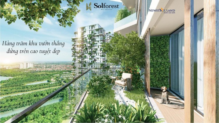 Chung Cư Sol Forest - Tuyệt Phẩm Nghỉ Dưỡng Cao Cấp Full Kính, Có Sân Vườn ưu đãi Khủng Khi Ra Hàng 7