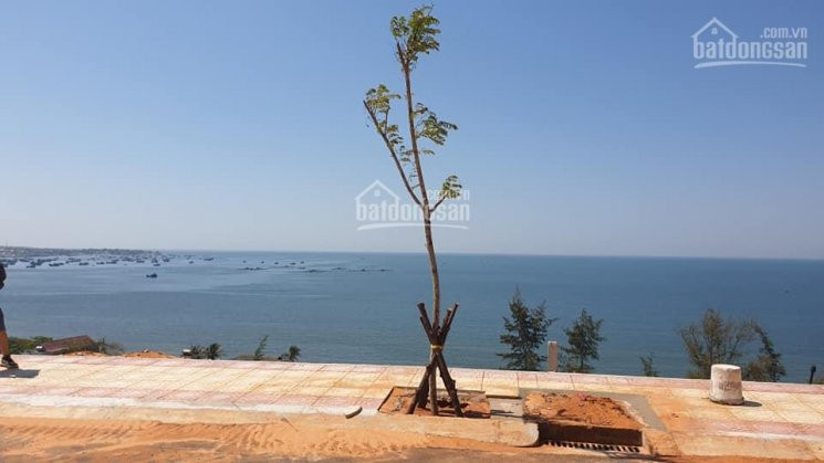 Chuyên Mua Bán Ký Gửi Dự án Sentosa Villa Giá Rẻ, đầu Tư Tốt Nhất Khu Vực Chỉ 10tr/m2, 0969877590 2