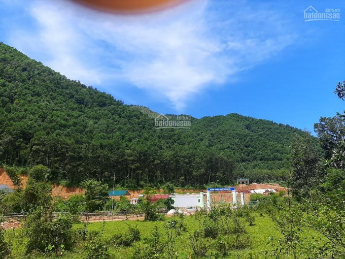 Chuyển Nhượng 38,7ha đất Rừng Sản Xuất Giá Siêu Rẻ, Có Suối, Hợp Dự án Sinh Thái, Nghỉ Dưỡng 1