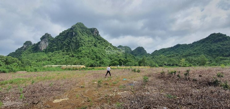 Cơ Hội Sở Hữu Ngay 9840m2 đất Cực đẹp Tại Lương Sơn, Hòa Bình 4