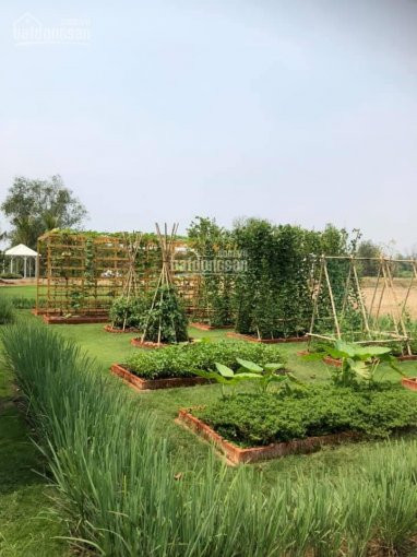 Còn 6 Lô Duy Nhất Biệt Thự Sông Vườn Trên 1000m2 Quận 9_cđt Hưng Thịnh_khả Ngân: 0933 97 3003 6
