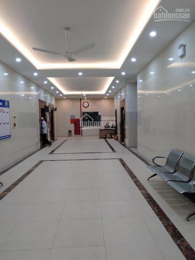 Ct2a Xala Hà đông 64m2 2pn-2wc, Nhà đẹp, Full Nt, Sđcc, Tl Sâu Lh 0339397171 4